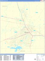 Wichita Falls Wall Map